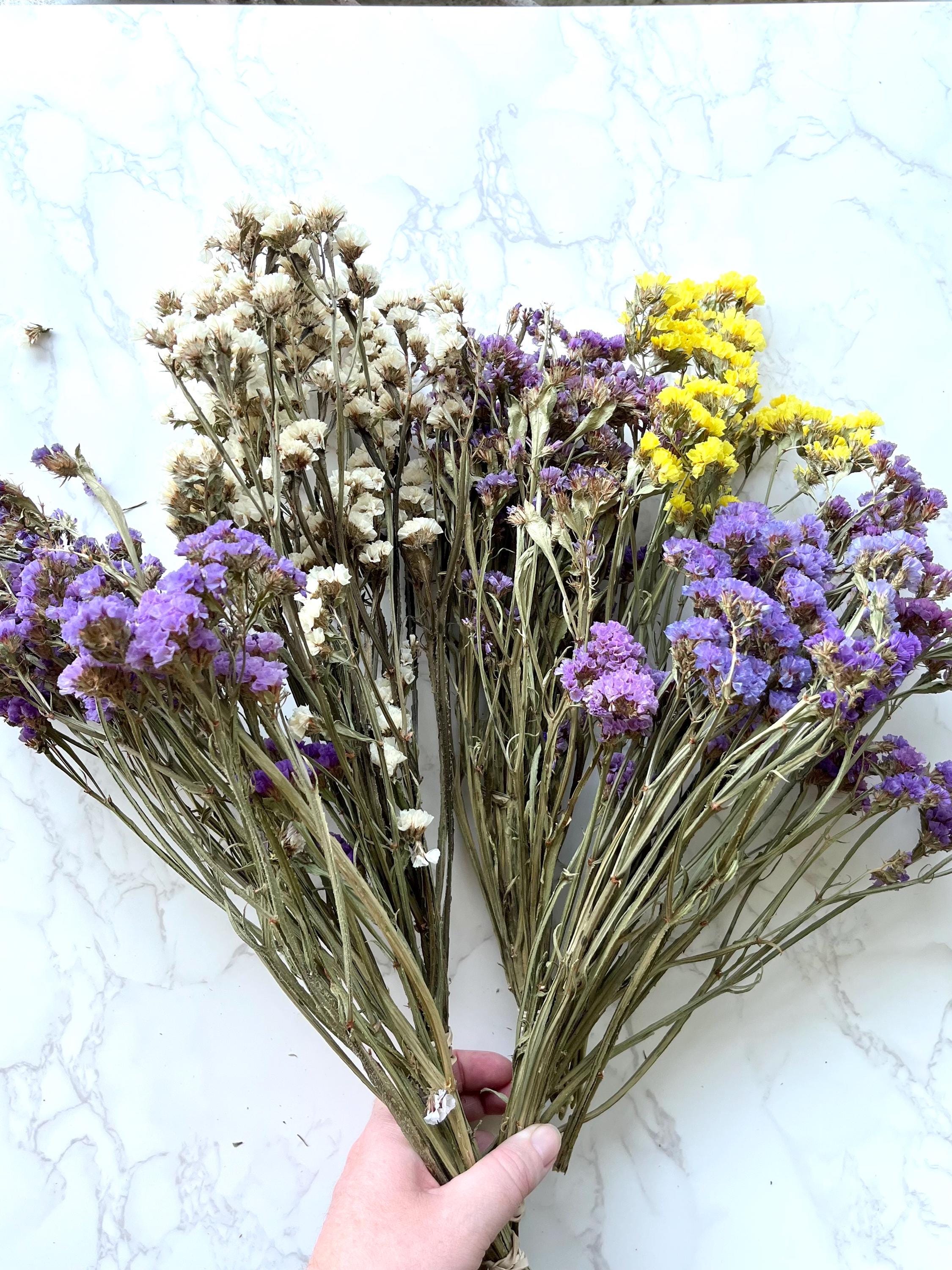 Dried Statice Flower Bunch: Natural DIY Floral Crafting, Wedding ...