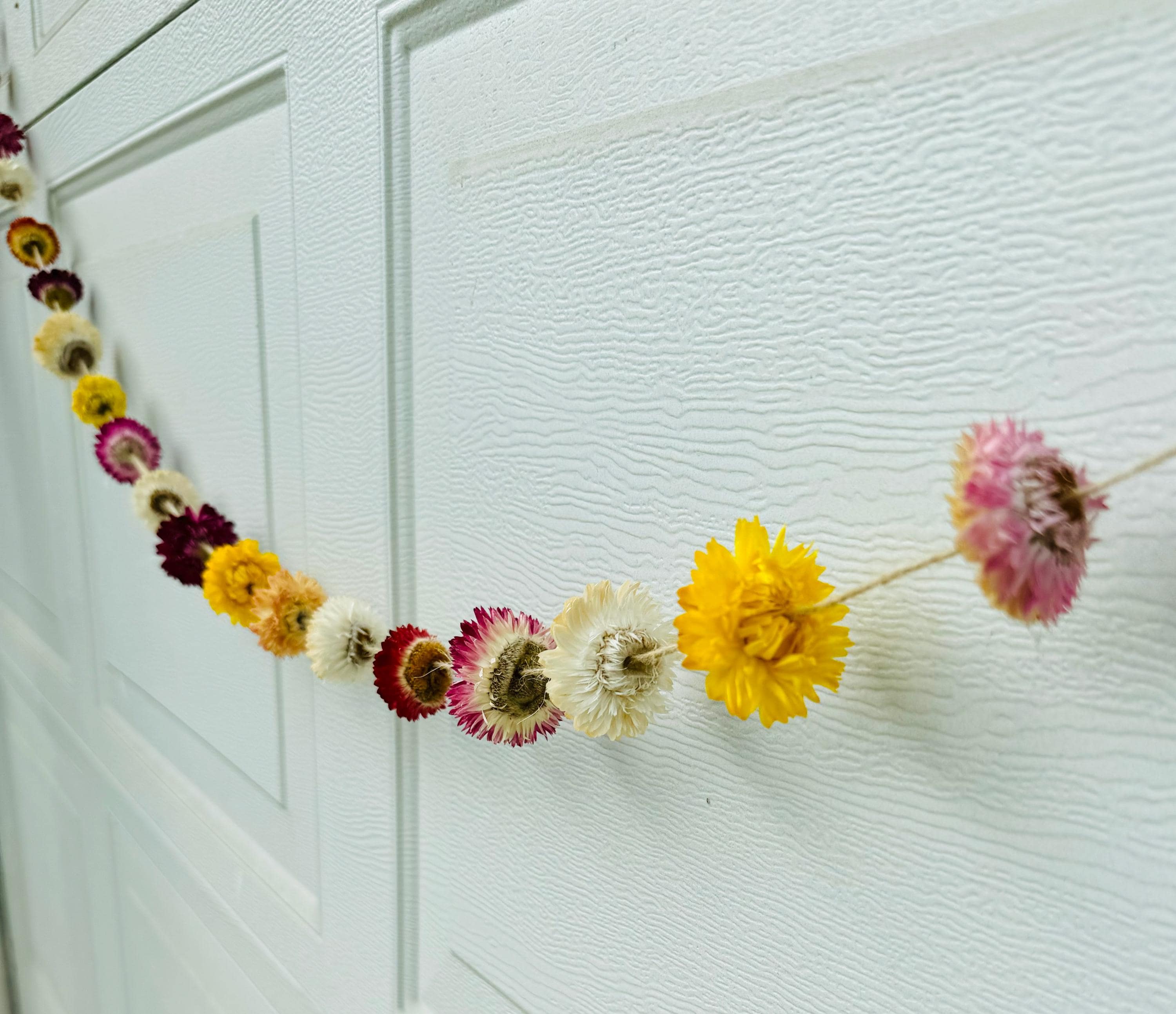 Strawflower Garland Botanical Party Decor Wildflowers Floral Wall Decor Multicolor