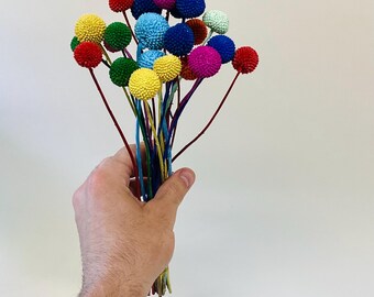 Dried Rainbow Craspedia Bundle, Billy Ball Flowers