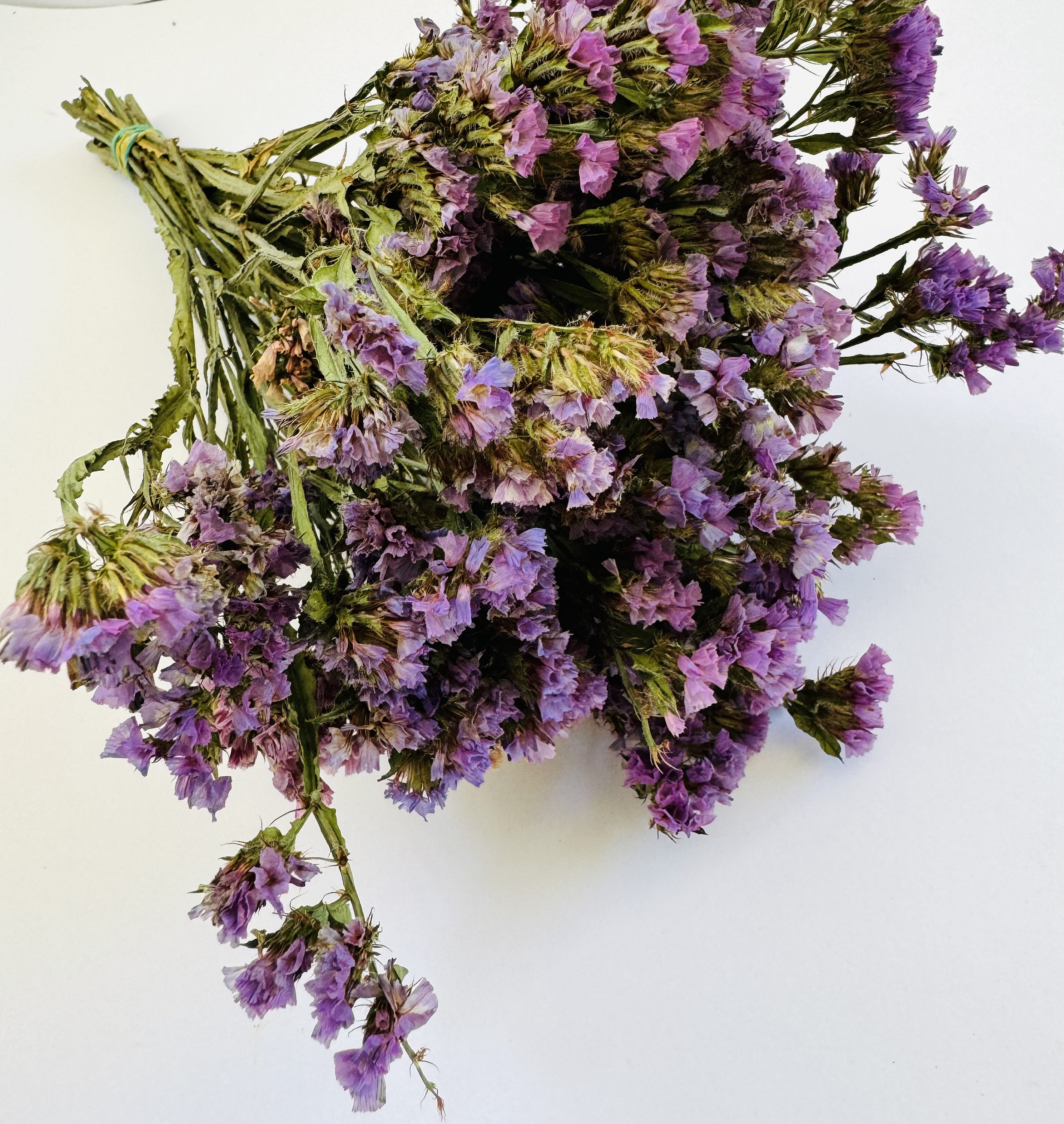 Dried Statice Flower Bunch: Natural DIY Floral Crafting, Wedding ...