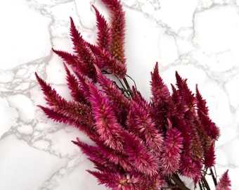 Dried Magenta Celosia Bouquet: DIY Floral Crafting, Home Decor