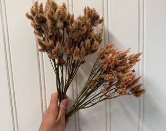 Dried Light Pink Celosia Bouquet: DIY Floral Crafting, Home Decor