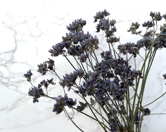 Dried Verbena Flowers with Stems, DIY Botanical Floral Decor Crafting