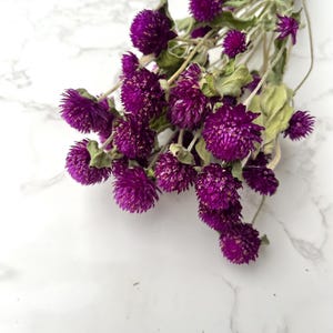 May include: A bundle of dried purple globe amaranth flowers with green stems and leaves. The flowers are a vibrant shade of purple and have a round, textured appearance. The background is a white marble surface.
