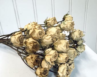 Dried White Spray Roses: Natural DIY Floral Crafting, Boho Home Decor