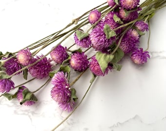 Dried Light Purple Gomphrena Flower Bunch: Globe Amaranth DIY Crafts Home Decor