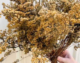 Dried Solidago Yellow Goldenrod Meadow Wedding Decor