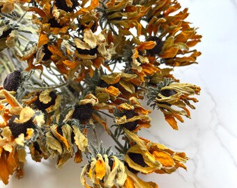 Dried Black Eyed Susan Yellow Flowers Dried Florals Rudbeckia