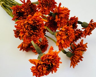 Dried Orange Marigolds Bundle Bunch Floral Decor Botanical Boho DIY Crafting