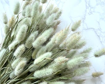 Dried Bunny Tails Grasses Home Decor Dried Florals White Beige Neutral DIY Crafts