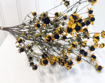 Dried Rudbeckia Yellow Flowers Dried Florals Daisy Cone Flower