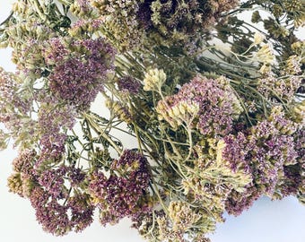 Dried Yarrow Bouquet: Muted Neutrals Pastel Purple Everlasting Flowers, Natural Home Decor