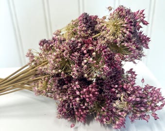 Dried Allium Purple Pink Bundle Floral Decor Botanical Boho DIY Crafting