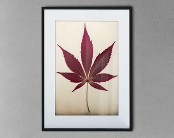 Botanical illustration of a red japanese maple leaf - Printable Wall Art, digital download (17)