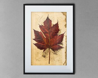 Red maple leaf, herbarium style - Printable Wall Art, digital download