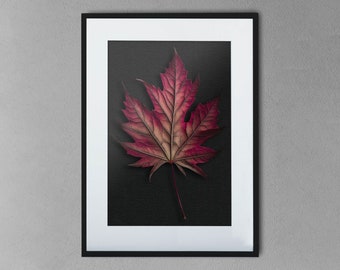 Botanical illustration of a pink maple leaf - Printable Wall Art, digital download (20)