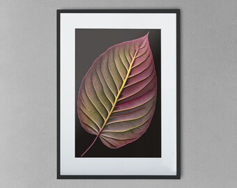 Botanical illustration of a red dogwood leaf - Printable Wall Art, digital download (12)