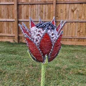 Beaded Protea Flowers