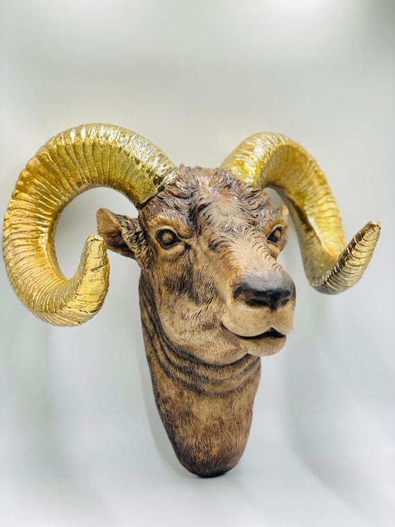 Ram Head Wall Mount | Gold Chrome Horns | Handmade XL Statement