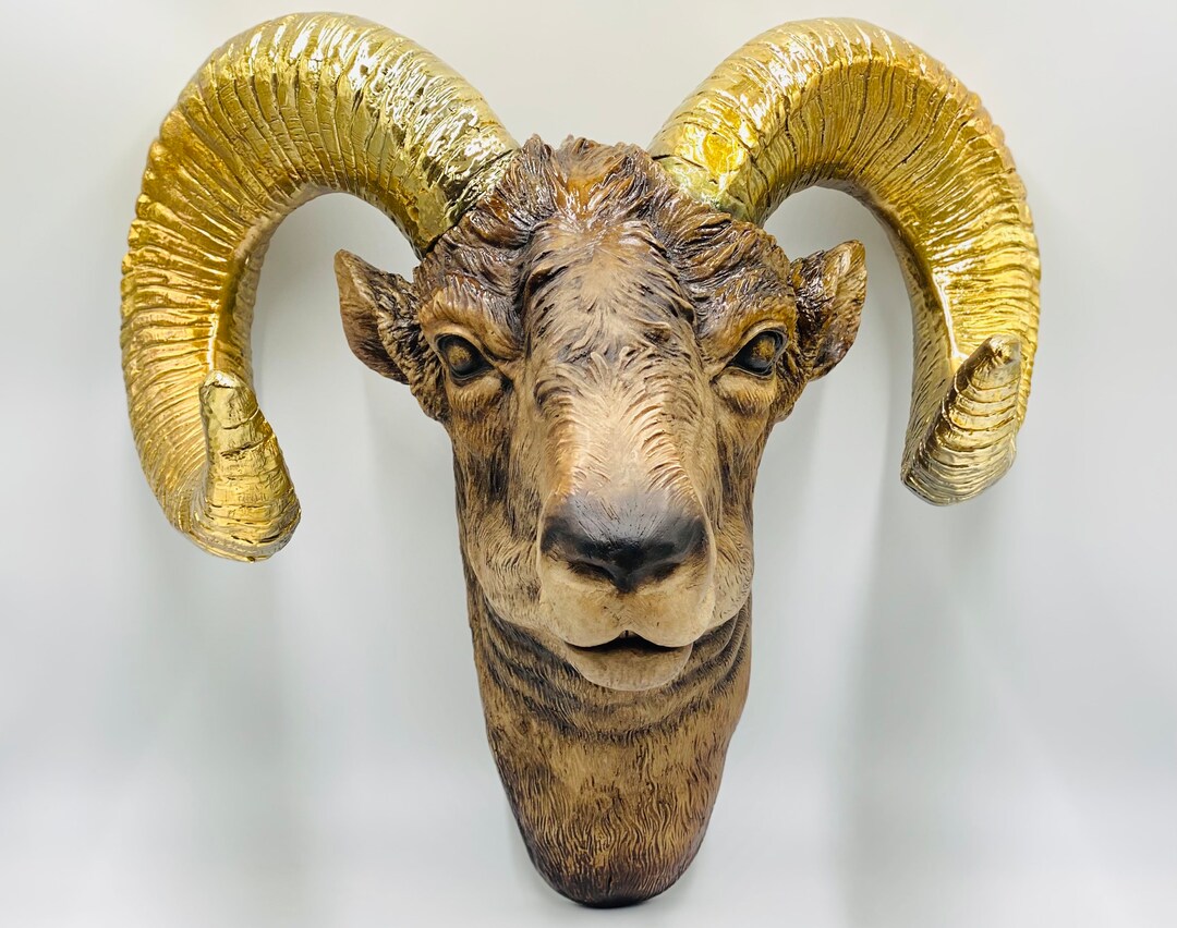 Natural Ram Head Wall Mount With Chrome Plated Gold Horns XL RAM