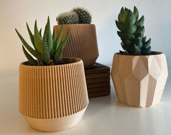 Set mit 3 biologisch abbaubaren geometrischen Pflanzgefäßen I Kakteen & Sukkulenten I Originelles Geschenk