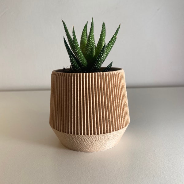 Cache-pot géométrique Biodégradable I Cactus & Plantes grasses I Cadeau Original