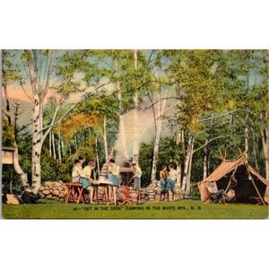 Carte postale vintage – Camping « à l'air libre », White Mountains NH – Bouleaux, feu de camp, toile de tente 848