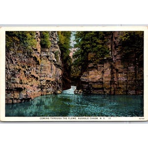 May include: Vintage postcard depicting Ausable Chasm, New York. The image shows a river winding through a narrow gorge with high rock walls and verdant foliage. The text "COMING THROUGH THE FLUME, AUSABLE CHASM, N. Y. 17" is visible.