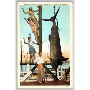 Carte postale Record du monde d'espadon pêché à Balboa, Californie vintage Curt Teich signée Alfonse Hamman 0359