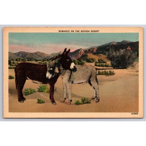 Carte postale Romance sur le désert du Nevada Linge de maison sans envoi 0440