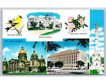 Postcard Iowa State Banner Tree Oak Bird Goldfinch Historical Building Wild Rose Capitol Des Moines 133
