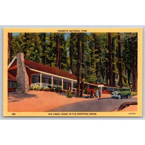 Carte postale Parc national de Yosemite, Big Trees Lodge, Mariposa Grove 0535