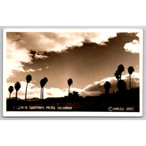ポストカード カリフォルニア州トゥエンティナインパームスの風景 ハーロウ・ジョーンズ ヴィンテージ RPPC c1950 0812