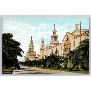 Palm Avenue Pan Pac International Expo San Francisco 1915 Postcard #880
