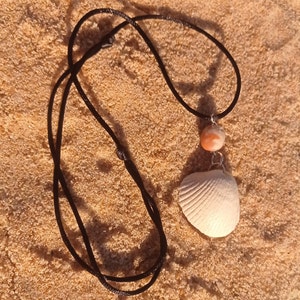 Cute Natural Seashell Necklace
