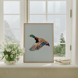 May include: A framed print of a mallard duck in flight against a light blue background. The duck is brown, green, and blue with its wings spread wide.