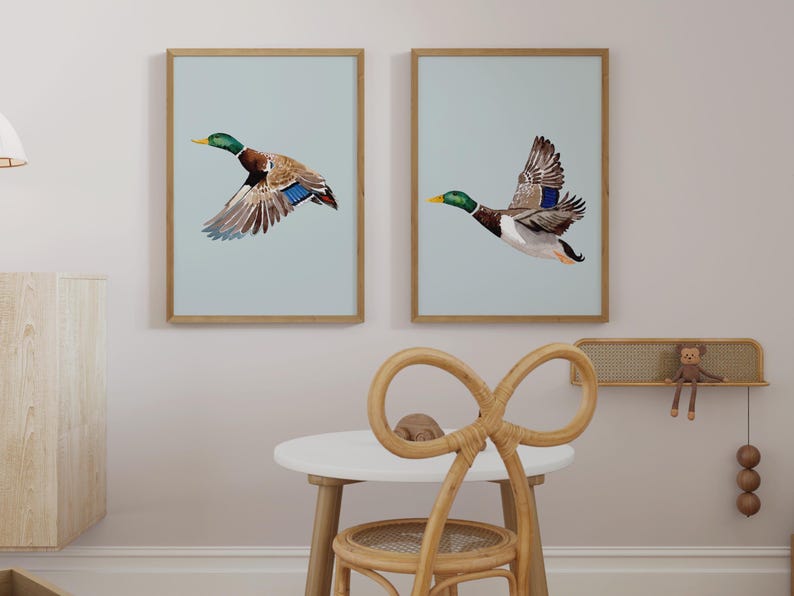May include: Two framed prints of mallard ducks in flight against a light blue background. The frames are light wood and the prints are hung on a white wall.