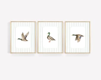 May include: Three framed prints of watercolor illustrations of mallard ducks. The ducks are depicted in different poses, including flying, standing, and swimming. The frames are gold and have a white mat.