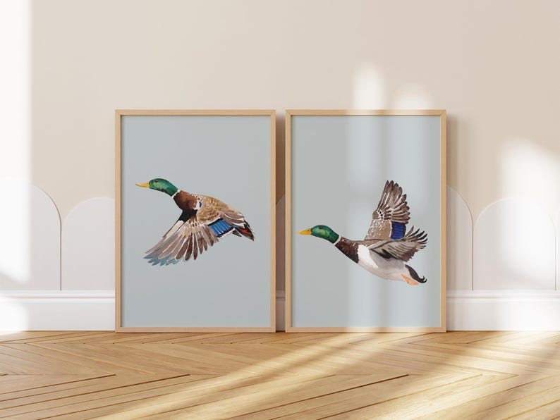 May include: Two framed prints of mallard ducks in flight against a light blue background. The ducks are brown, green, and blue with yellow beaks. The frames are light brown wood.