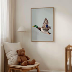May include: A framed illustration of a mallard duck in flight against a light blue background. The duck is brown and green with a yellow beak.