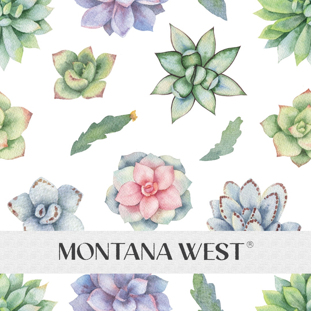 Succulent Plants and Cacti Seamless Pattern, Digital Watercolor ...