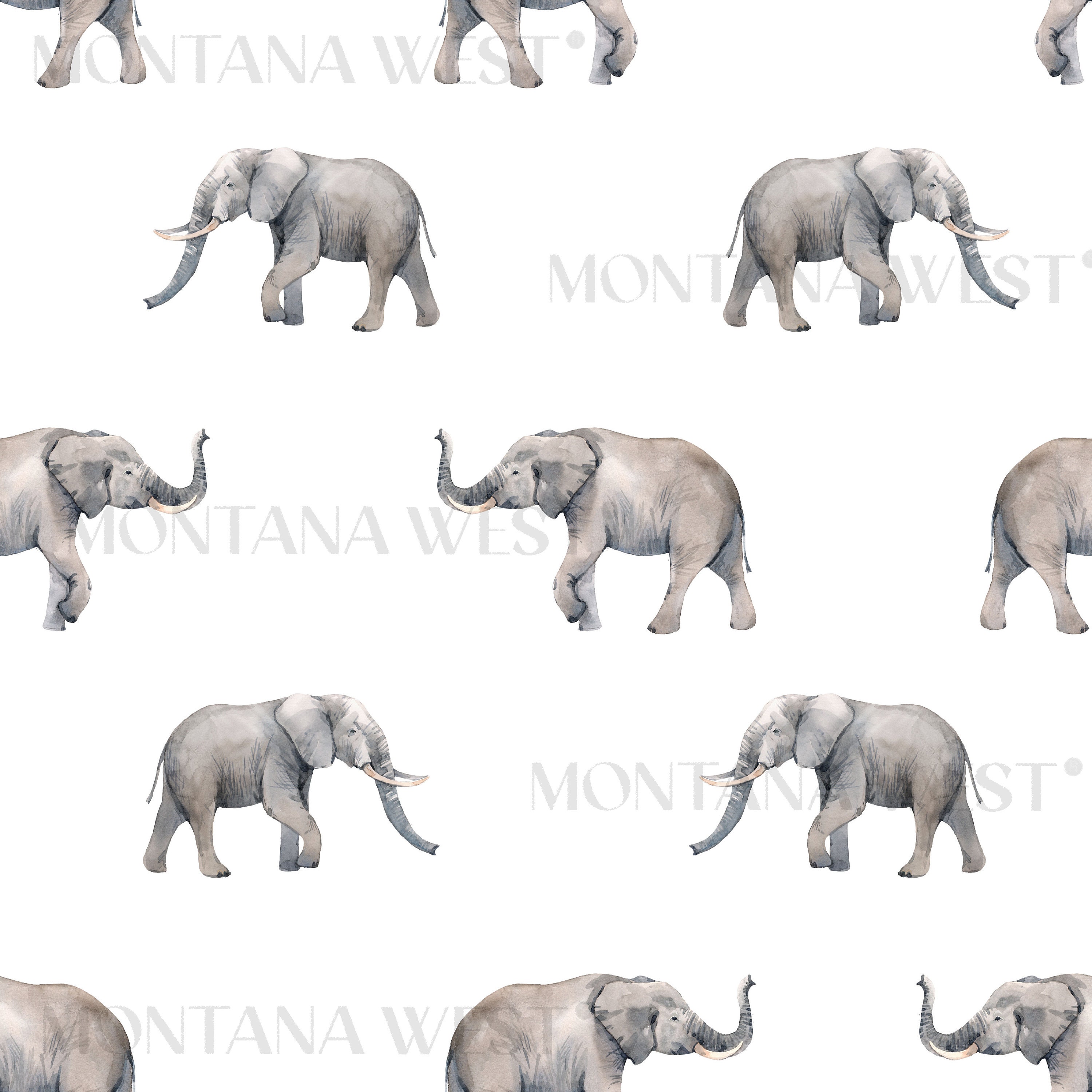 Elephants Seamless Pattern, Digital Watercolor Cute Elephants on White ...