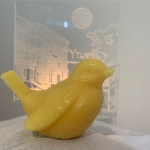 Vela de pilar de cera de soja de pájaro amarillo inspirada en ojos brillantes