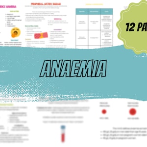 Hämatologie Erkrankungen Anämie Bedingungen Medizinische Schule Notizen Hämatologie Studienführer Krankenpflege Schule Revision Medizinische Chirurgische PA PDF