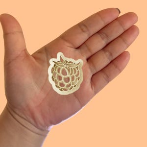 May include: A white plastic cookie cutter shaped like a raspberry. The cutter has a detailed design with a stem and leaves.