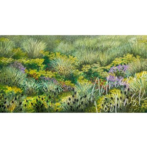 Floraler Kunstdruck: Wiese