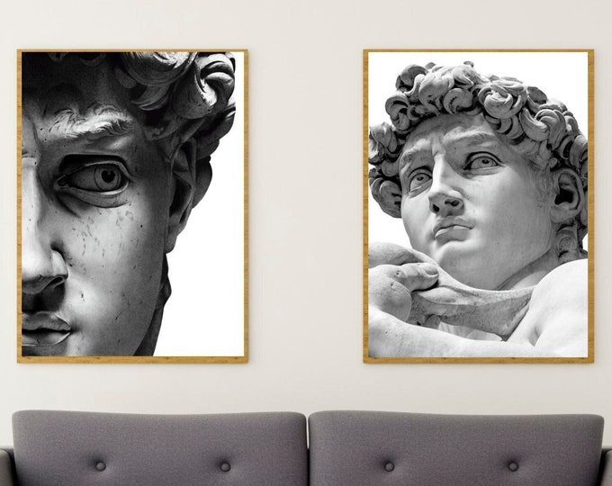 Set of 2 Canvas Prints, Michelangelo's David Sculpture, Poster or Unframed Painting, Diptych, Wall Art Decor for Home.