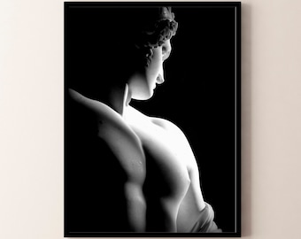 Antino, Poster or Canvas Painting Modern Decor Living Room Home Office. Wall Canvas