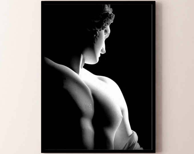 Antino, Poster or Canvas Painting Modern Decor Living Room Home Office. Wall Canvas