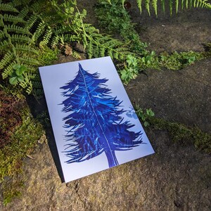 Blue pine tree postcard A5